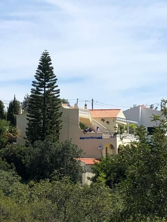Panoramic Paradise